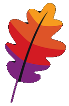 Apache Software Foundation